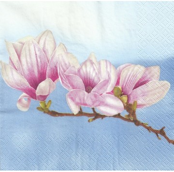 Serwetka Decoupage Magnolia...